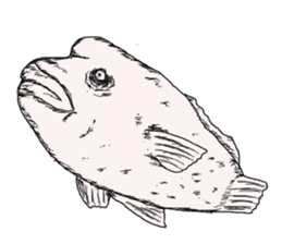 Unpleasant fish2 sticker #9755967