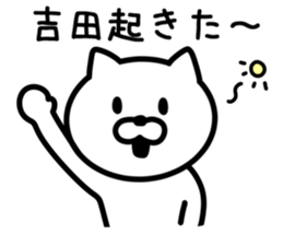 CAT for YOSHIDA sticker #9757218