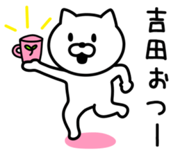 CAT for YOSHIDA sticker #9757220