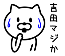 CAT for YOSHIDA sticker #9757252