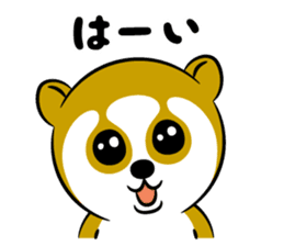 Cute Slow Loris By Ks