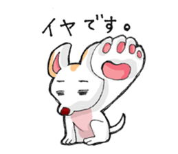 chihuahua  no chagotan sticker #9760621