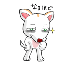 chihuahua  no chagotan sticker #9760642