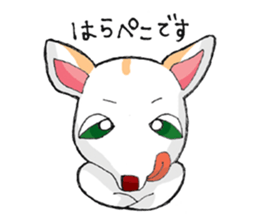 chihuahua  no chagotan sticker #9760646