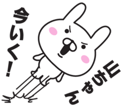 The last name sticker of rabbit sticker #9760985