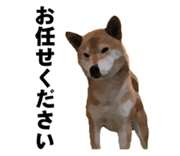 Shiba Inu reply sticker of (positive) sticker #9762262