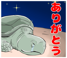 Handling Caution 1 sticker #9762600