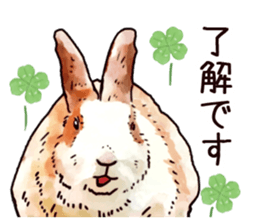 Watercolor rabbit sticker sticker #9763856