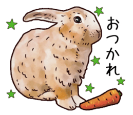 Watercolor rabbit sticker sticker #9763860