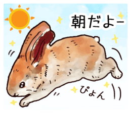 Watercolor rabbit sticker sticker #9763862