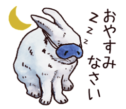 Watercolor rabbit sticker sticker #9763863