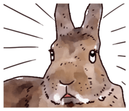 Watercolor rabbit sticker sticker #9763864