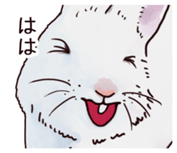 Watercolor rabbit sticker sticker #9763865