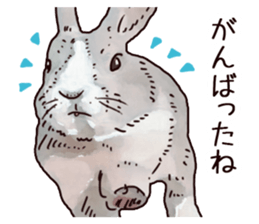 Watercolor rabbit sticker sticker #9763869