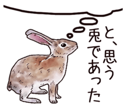 Watercolor rabbit sticker sticker #9763870