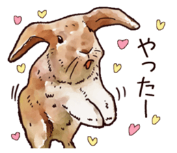 Watercolor rabbit sticker sticker #9763872
