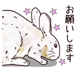Watercolor rabbit sticker sticker #9763873