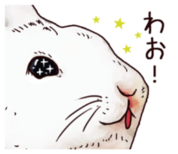 Watercolor rabbit sticker sticker #9763874