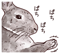 Watercolor rabbit sticker sticker #9763876