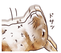 Watercolor rabbit sticker sticker #9763878