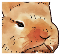 Watercolor rabbit sticker sticker #9763880