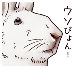 Watercolor rabbit sticker sticker #9763883