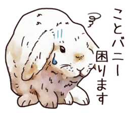 Watercolor rabbit sticker sticker #9763885
