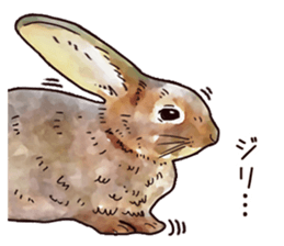 Watercolor rabbit sticker sticker #9763887