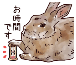 Watercolor rabbit sticker sticker #9763893