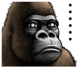 Gorilla gorilla 2 sticker #9764458