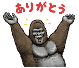 Gorilla gorilla 2 sticker #9764461