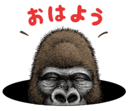 Gorilla gorilla 2 sticker #9764474