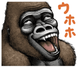 Gorilla gorilla 2 sticker #9764481