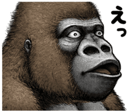 Gorilla gorilla 2 sticker #9764488