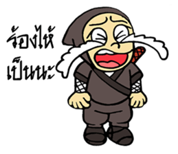 Ninja ZO sticker #9765746