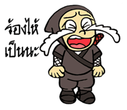 Ninja ZO sticker #9765746