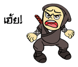 Ninja ZO sticker #9765751