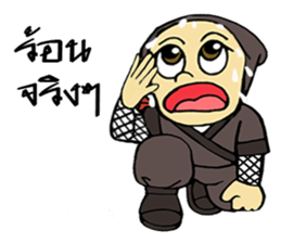 Ninja ZO sticker #9765758