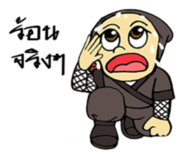 Ninja ZO sticker #9765758