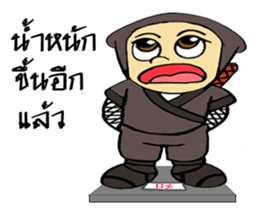 Ninja ZO sticker #9765762