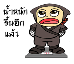 Ninja ZO sticker #9765762