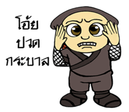 Ninja ZO sticker #9765775