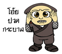 Ninja ZO sticker #9765775