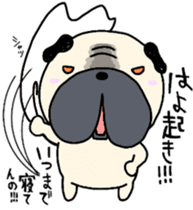 pugggggggg osaka sticker #9766003