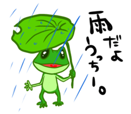 Frog Sticker to send to Utchi sticker #9766062