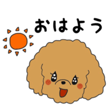 Toy poodle of the name as PU sticker #9767136