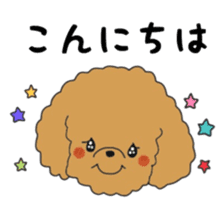 Toy poodle of the name as PU sticker #9767137