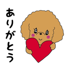 Toy poodle of the name as PU sticker #9767140