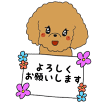 Toy poodle of the name as PU sticker #9767143