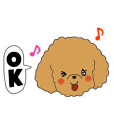 Toy poodle of the name as PU sticker #9767144